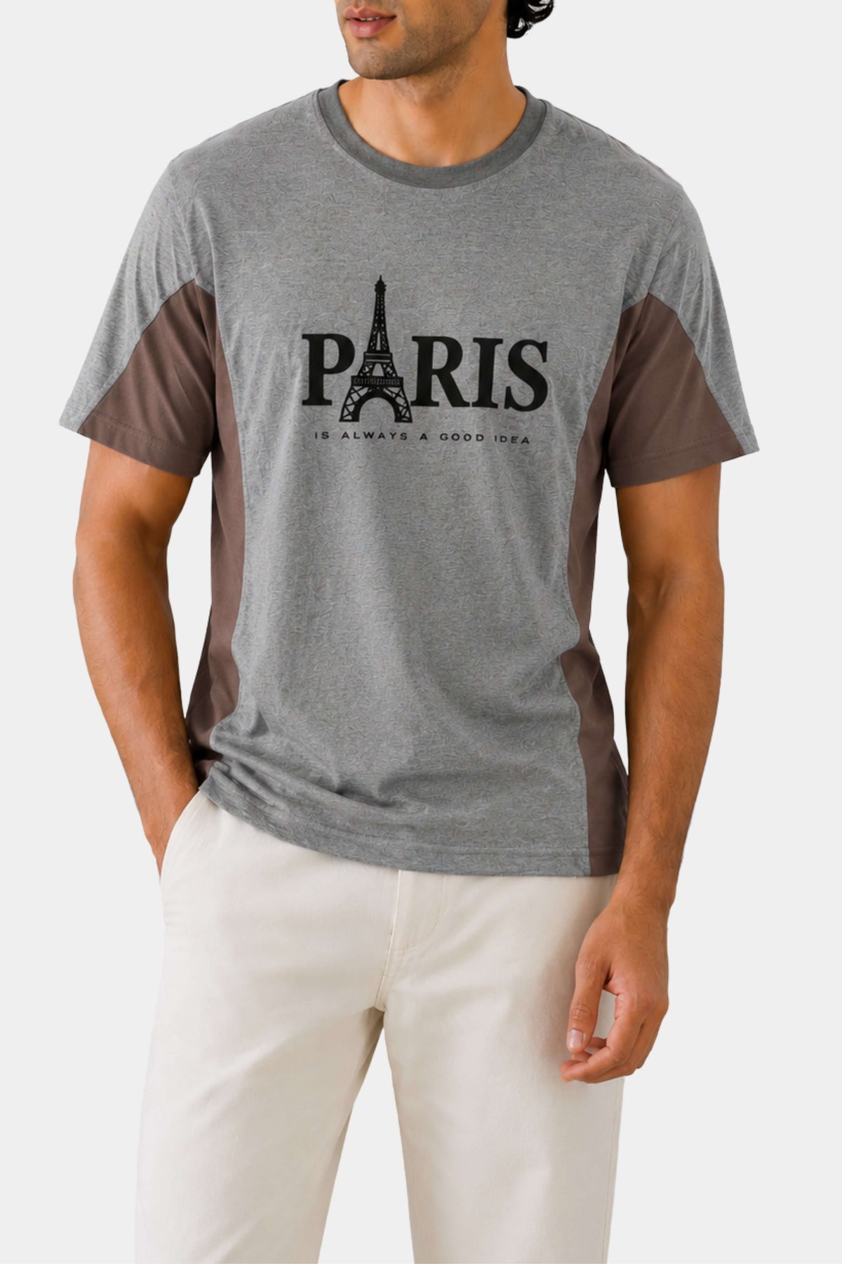 Graphic Panel T-Shirt - Paris | Gray & Brown